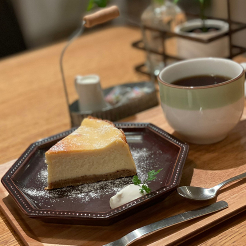 東京大山駅おすすめカフェのチーズケーキ8月のライオン美色美聞